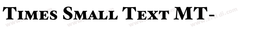 Times Small Text MT字体转换